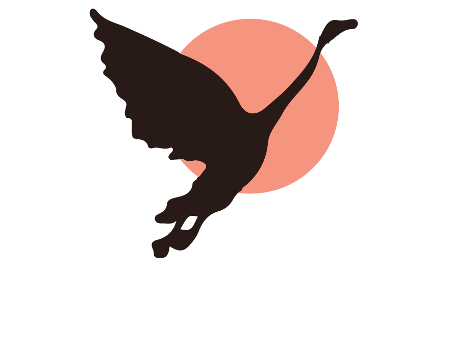 Hansa Logo